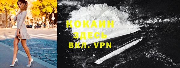 PSILOCYBIN Осинники
