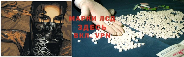PSILOCYBIN Осинники