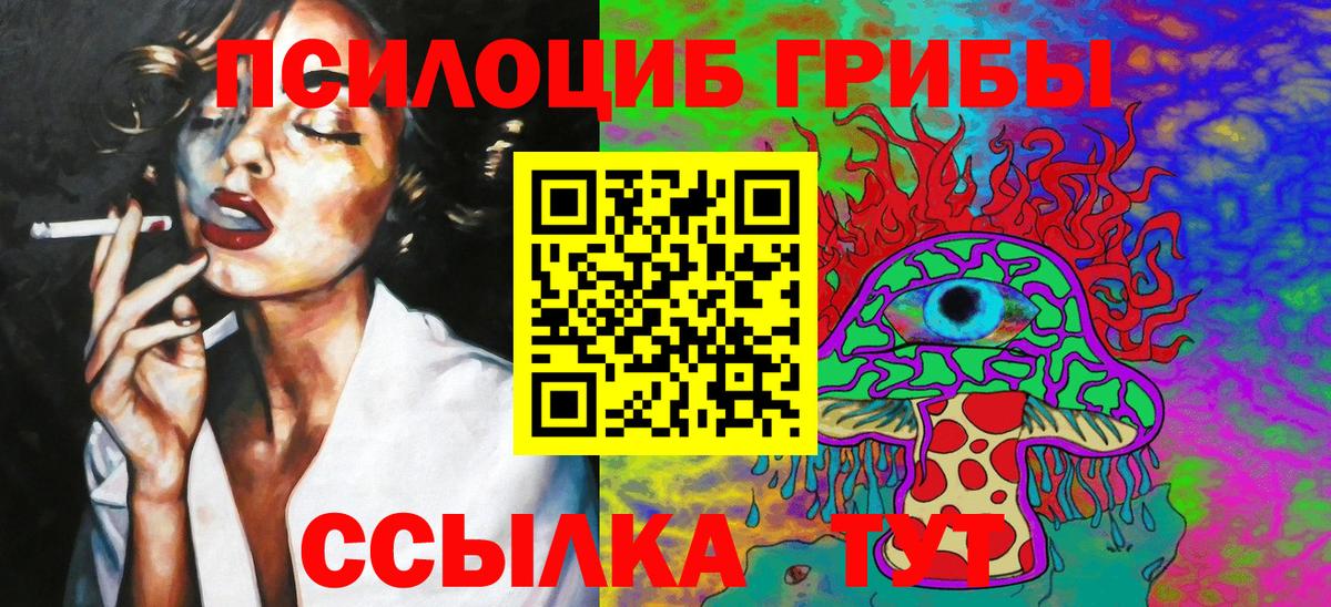 купить   Галлюциногенные грибы Cubensis  Вход с VPN  Снежинск 