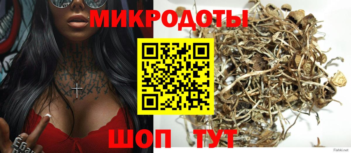 Галлюциногенные грибы Psilocybine cubensis Снежинск